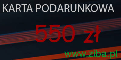 KARTY PODARUNKOWE, BONY ZAKUPOWE 550-1000 PLN